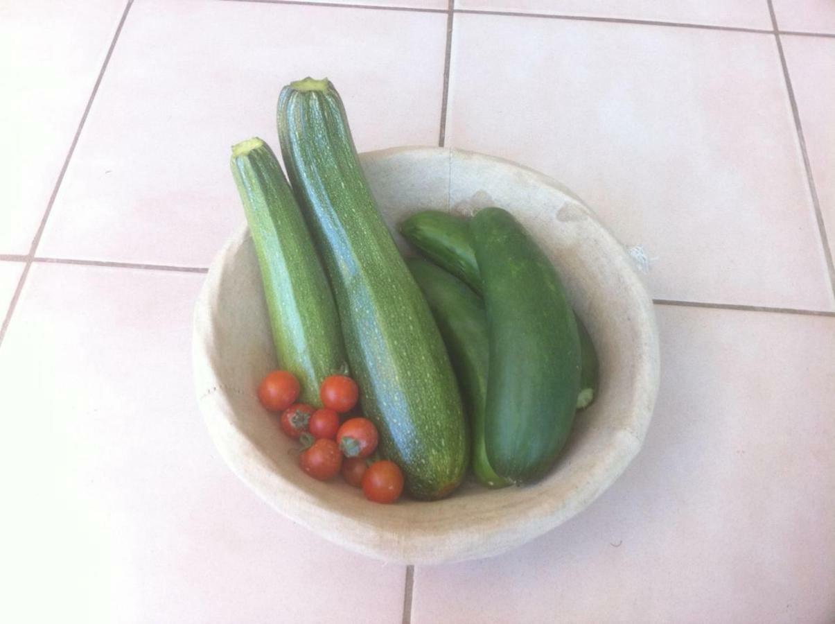 Tursac Cottage Poppy מראה חיצוני תמונה